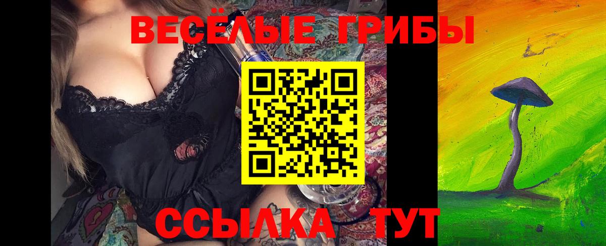 Псилоцибиновые грибы Psilocybe Ейск